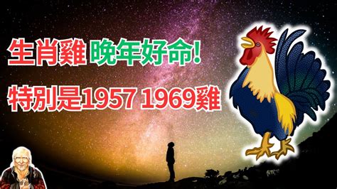 1969年屬雞運勢|生肖雞：1969年是什麼命？